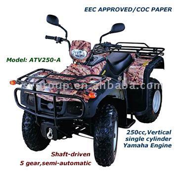  EEC/COC 250cc ATV (ЕЭС / COC 250cc ATV)