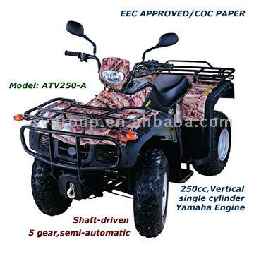  250cc EEC ATV ( 250cc EEC ATV)
