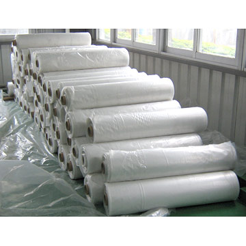  Tarps