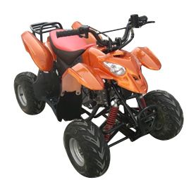  50cc ATV (Polaris) (50cc ATV (Polaris))