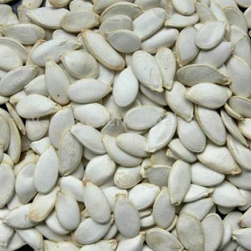  Pumpkin Seed (De graines de citrouille)