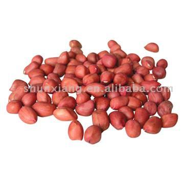  Peanuts in Red Skin (Arachides en Red Skin)