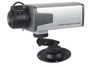  EX View CCD Color Camera (Ex-View CCD Farbkamera)