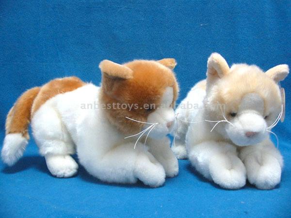  Cat Toy