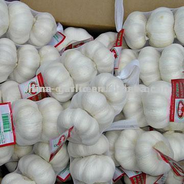  Pure White Garlic (EU Standard in 3P Package) (Pure White Ail (standard de l`UE dans le paquet 3P))