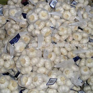  White Garlic (Ail blanc)