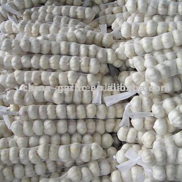 White Knoblauch (White Knoblauch)
