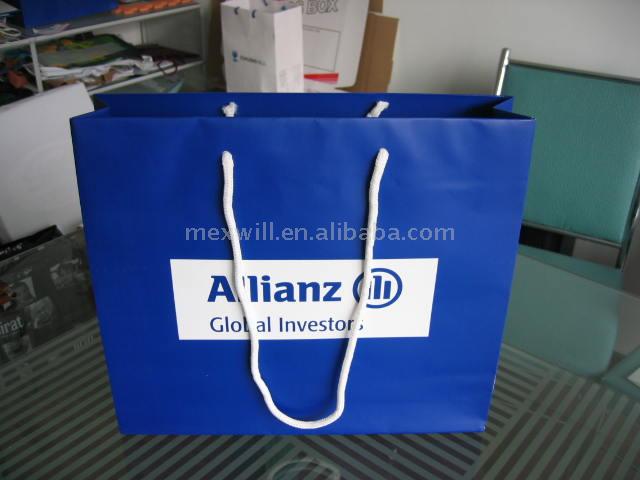  Paper Shopping Bag (Paper Shopping Bag)