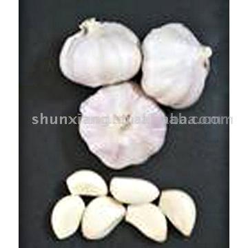  Top Selected Garlic (Топ Выбранный Чеснок)