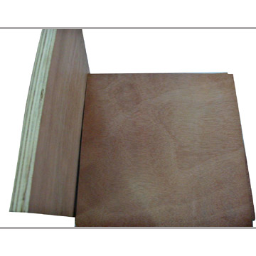  Plywood (Contreplaqués)