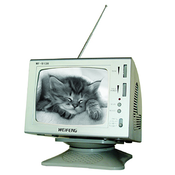  5.5" Black and White TV with Radio ( 5.5" Black and White TV with Radio)