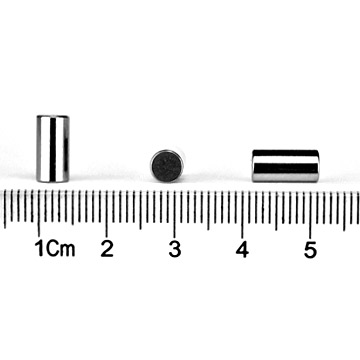  Crowned Needle Roller (Couronné Needle Roller)