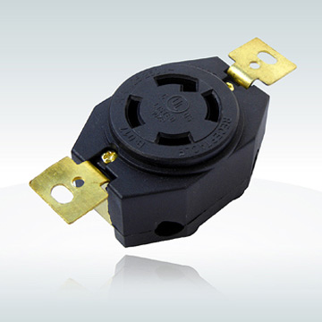  Receptacle ( Receptacle)