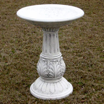  Bird Bath ( Bird Bath)