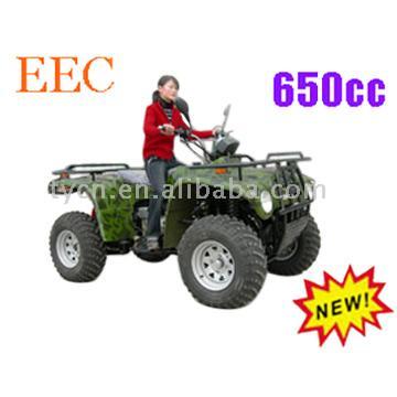  650cc 4-wheels Drive ATV (650cc 4-колесами АТВ)