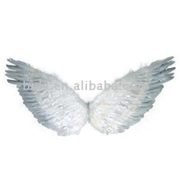 Angel Wing Angel Wing 