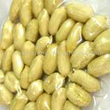  Blanched Peanuts (ARACHIDES BLANCHES)