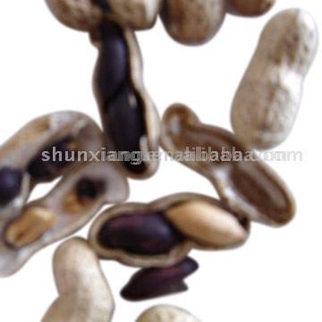  Roasted Black Peanuts in Shell