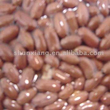  Roasted Peanut Kernels (Rôti arachides décortiquées)