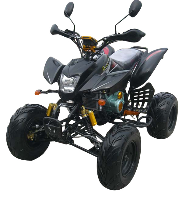  250CC/200CC EEC ATV (250CC/200CC ЕЭС ATV)