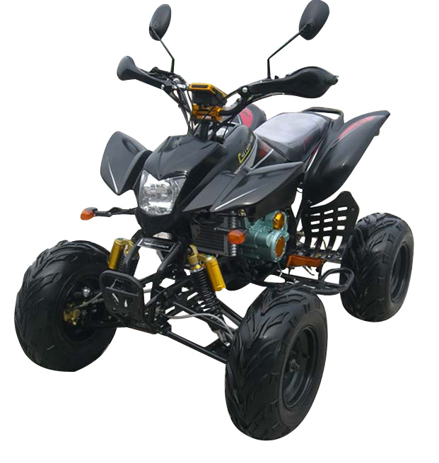  250CC/200CC EEC ATV (250CC/200CC EWG ATV)