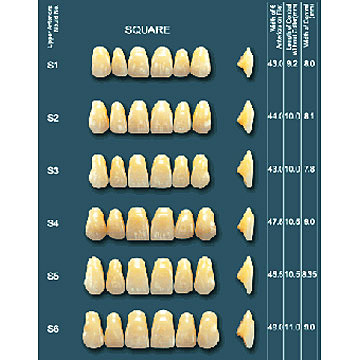  Acrylic Teeth (Акриловые зубы)