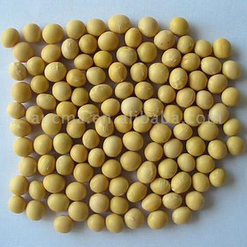  Soy Extracts ( Soy Extracts)