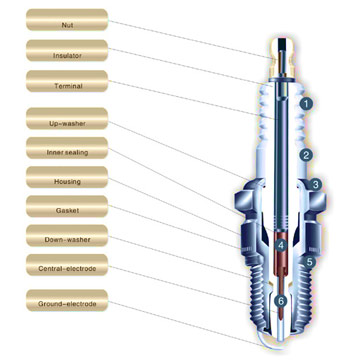  Spark Plug (Spark Plug)