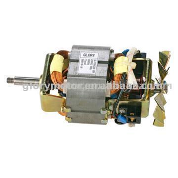  Universal Motor