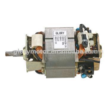  Universal Motor