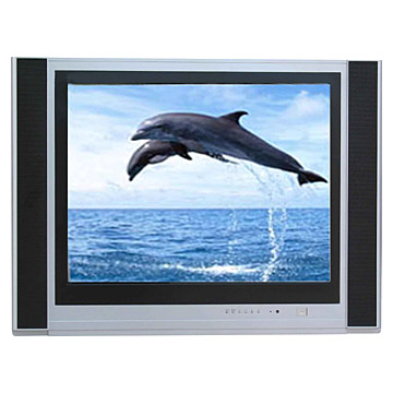  29" Color TV (29 "Télévision couleur)