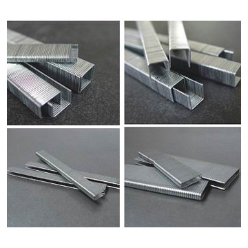  Wire Staples (Fil Staples)