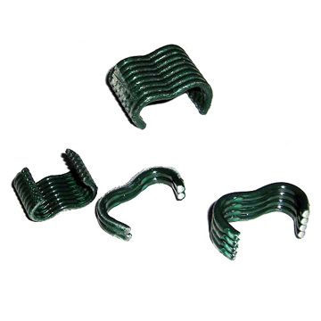  Omega Staples (Omega Staples)