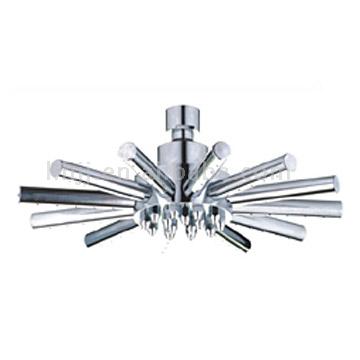  Brass Shower Head ( Brass Shower Head)