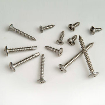  Stainless Steel Screws (Vis en acier inoxydable)
