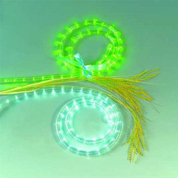  LED Rope Lights