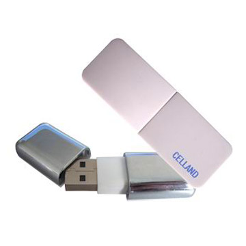  USB Flash Drive (USB Flash Drive)