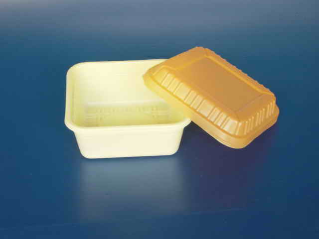  Plastic Food Container (Conteneur pour aliments en plastique)