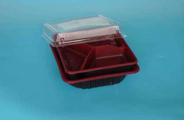  Plastic Food Container (Kunststoff-Food Container)