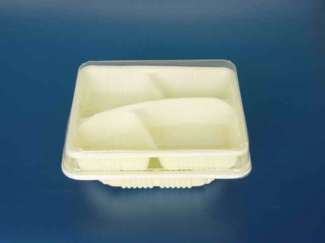  Plastic Food Container (Conteneur pour aliments en plastique)