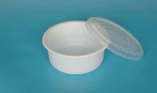  Plastic Food Contianer (Plastique alimentaire Contianer)