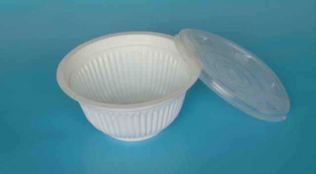  Plastic Food Container (Conteneur pour aliments en plastique)