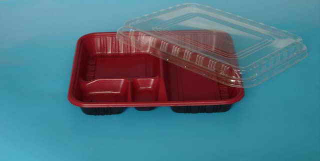  Plastic Food Container (Conteneur pour aliments en plastique)