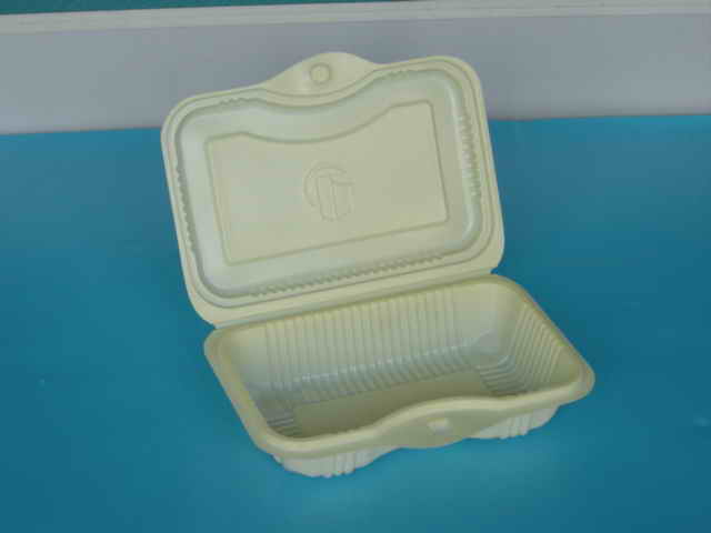  Plastic Food Container (Conteneur pour aliments en plastique)