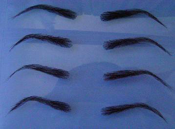  Eyebrow ( Eyebrow)