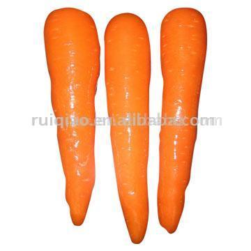  Fresh Carrot (Свежий морковный)