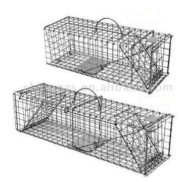  Collaspible Live Animal Box Traps (Collaspible Box Live Animal Traps)