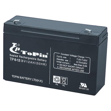  Sealed Lead-Acid Battery (Герметичный свинцово-кислотный аккумулятор)