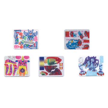  PVC Puzzle Cards ( PVC Puzzle Cards)