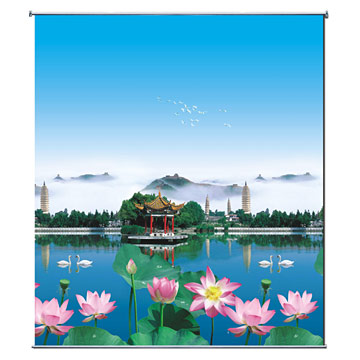  Roller Blinds (Stores à rouleaux)
